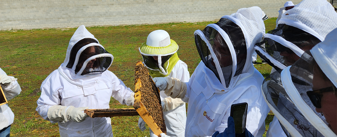 2024 Beginner Beekeeper School